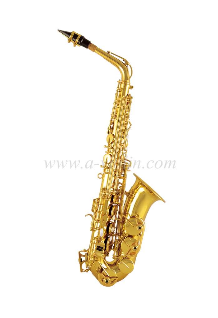 Nice Price Adult Kid Practice Alto Saxophone(ASP-M390G)
