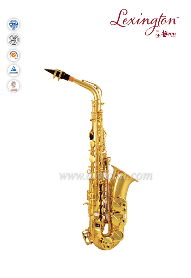 Lacquer Low Bb to High Alto Saxophone with ABS Case(SP200G)