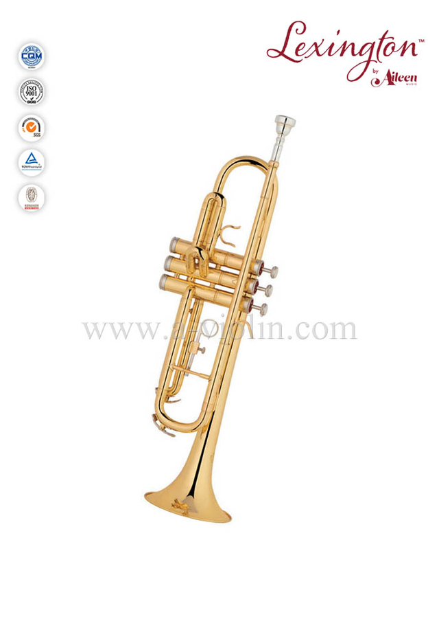 Bb Standard Professional Trumpet With Premium Case (TP8190G)