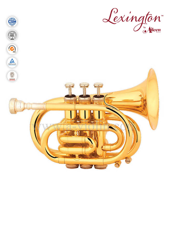 Bb Brass Pocket Stainless steel Piston Trumpet (HTP8503G)