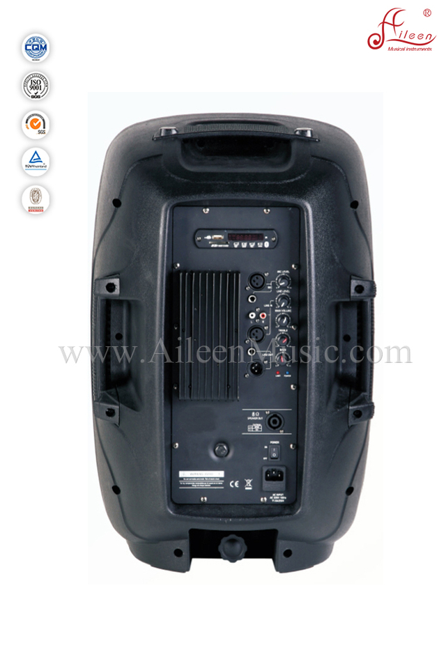 12" 94dB Sensitivity 2'VC Cabinet Speaker (PS-1215APE)