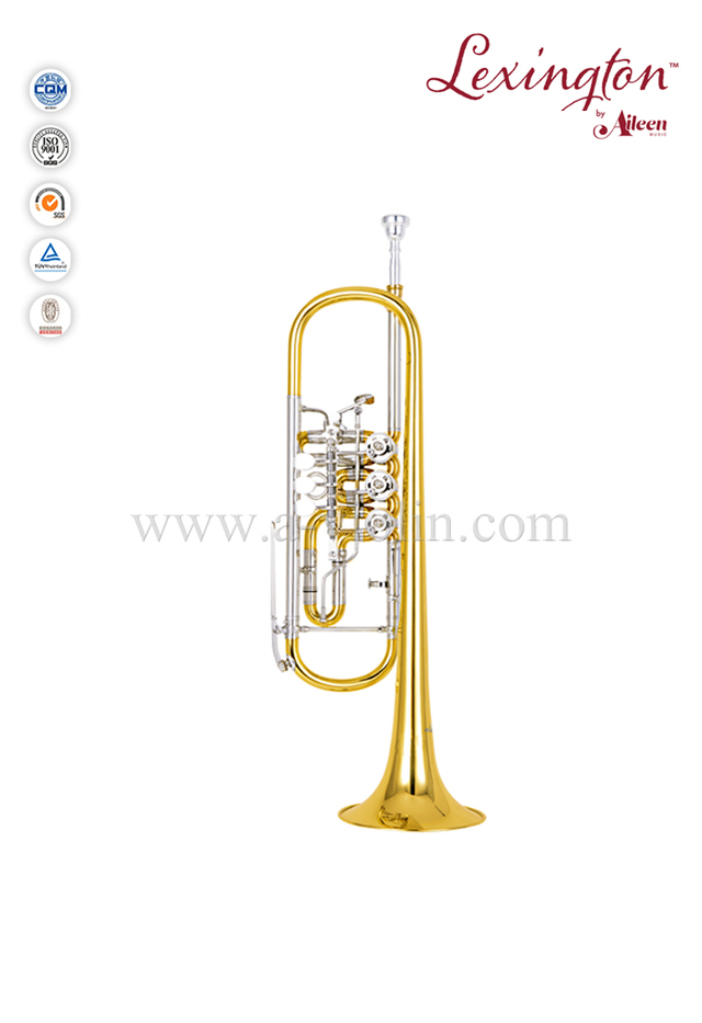 China manufacture Rotary Valve Professional Trumpet With Wooden Case(TP8800G)
