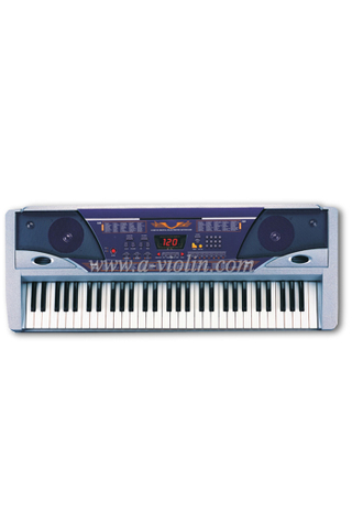 61 Keys Electrical Piano/Electrical Keyboard (EK61203)