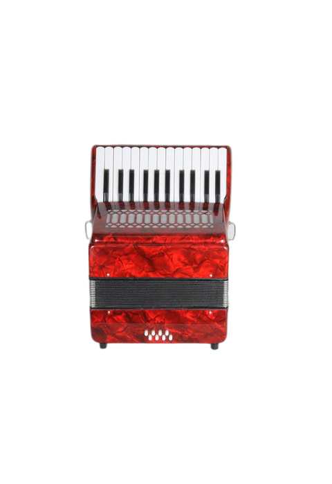 25Key 8Bass Piano Accordion(K2508)