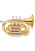 bB Key Student Hand Trumpet-Entry Grade(HTP-M400G-SYY)