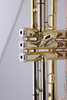 Professional Yellow Brass Body Middle Grade Bb Key Trumpet TR5200