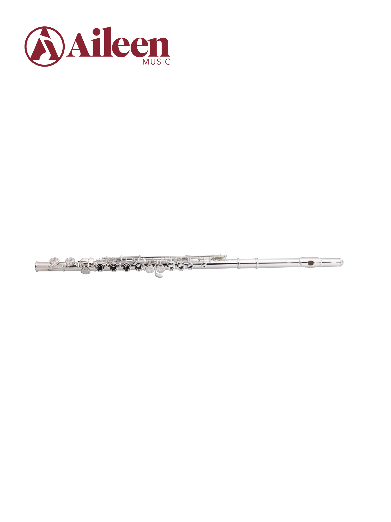 C Key Cupronickel Body General Grade Flute FL3001S-E