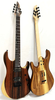 New Professional Winzz Design Special Edition Electric Guitars