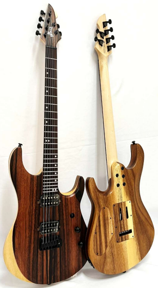 New Professional Winzz Design Special Edition Electric Guitars
