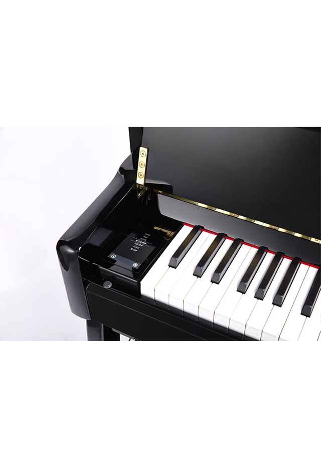 DP9006 Hot Sale 88-key Hammer-action Keyboard Hybrid Digital Piano