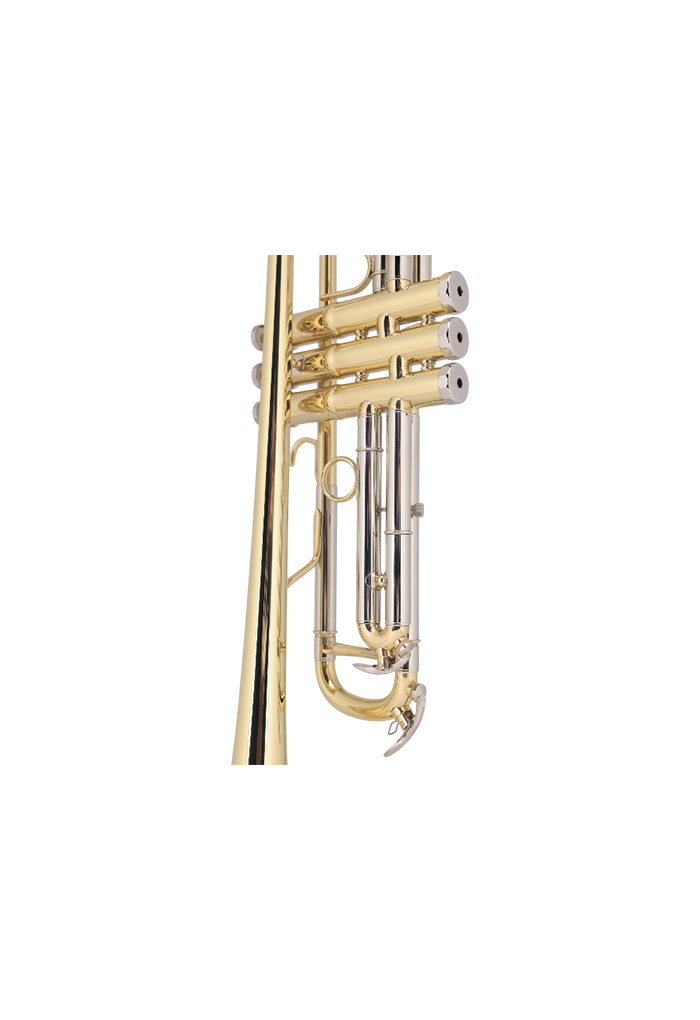 TP8034G Best Selling Middle Grade BB Key Yellow Brass Body Trumpet