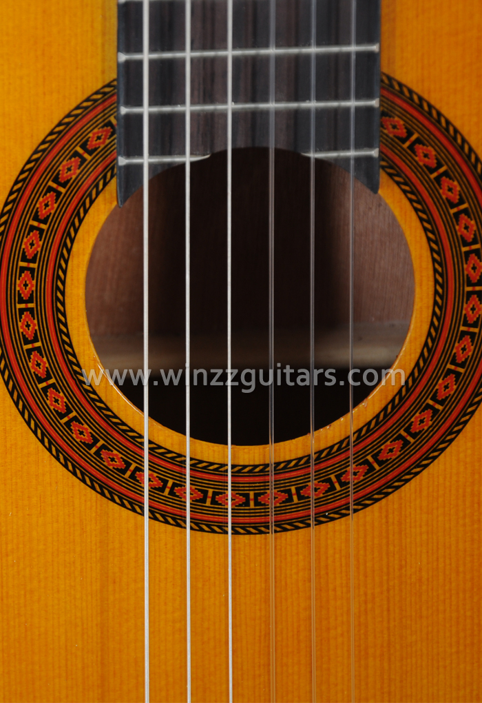 High-end Updated Student Model Classical Guitar (AC70N)