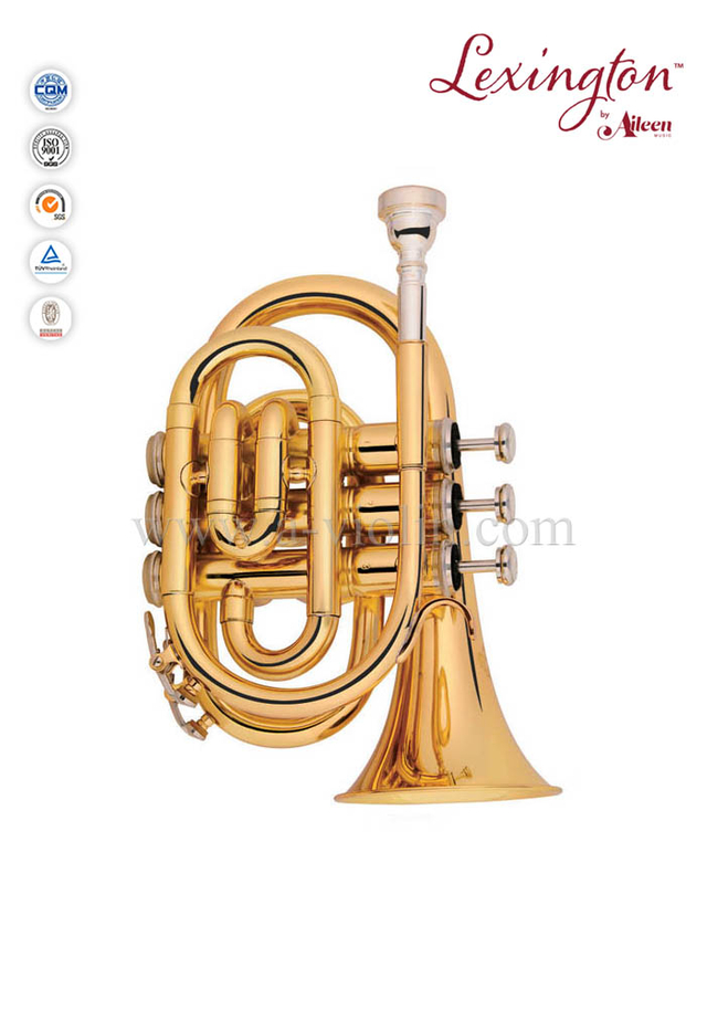 Color lacquered Bb Key Pocket Trumpet/Mini Trumpet (HTP8501C)