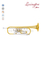 China manufacture Rotary Valve Professional Trumpet With Wooden Case(TP8800G)