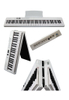 EK-F8801 Professional 61 Keys Portable Foldable Keyboard Instruments