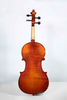 SC-15AL Selected Solid Spruce Top 4/4-1/16 Professional Moderate Cello Kit