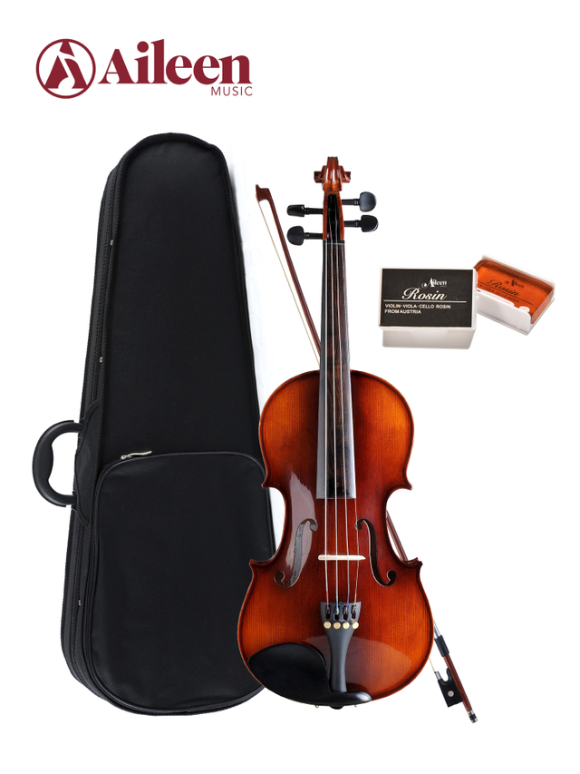Selected Solidwood Advanced Student Violin Outfit (VG107)