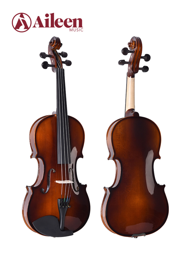  Solid Spruce Top BBR/BCO/BBK Colour Student Violin Kit (VG106)