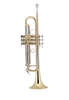 TP8034G Best Selling Middle Grade BB Key Yellow Brass Body Trumpet