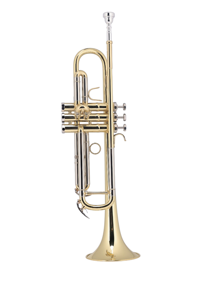 TP8034G Best Selling Middle Grade BB Key Yellow Brass Body Trumpet