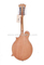 Solid Mahogany F-style mandolin (AM60F-1)
