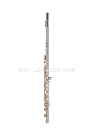 [Aileen] Y style cupronickel body student flute (FL4011S-E)