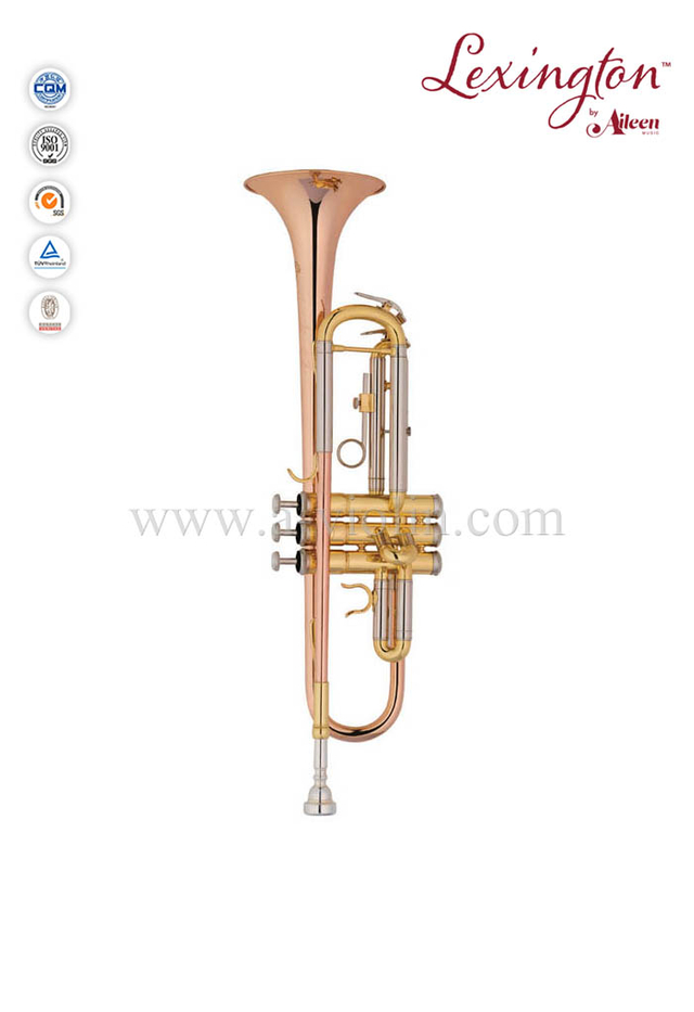 Y style-advanced Trumpet-Nickel silver Slides(TP8391G-SRY)