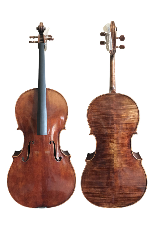 Professional Performance European Material Cello A Grade(CH600EM)