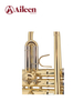 TP8034G Best Selling Middle Grade BB Key Yellow Brass Body Trumpet