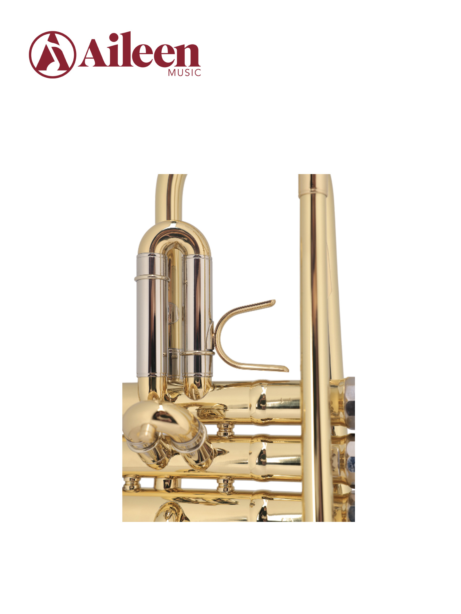 TP8034G Best Selling Middle Grade BB Key Yellow Brass Body Trumpet