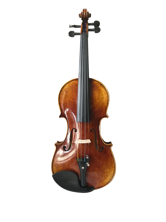 Selected Solid Spruce Top With" Oil Varnish" Series Advanded Violin (VH200VA)