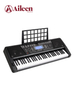 61 Keys Electronic Organ Keyboard/Musical Keyboard Instrument (EK61208)