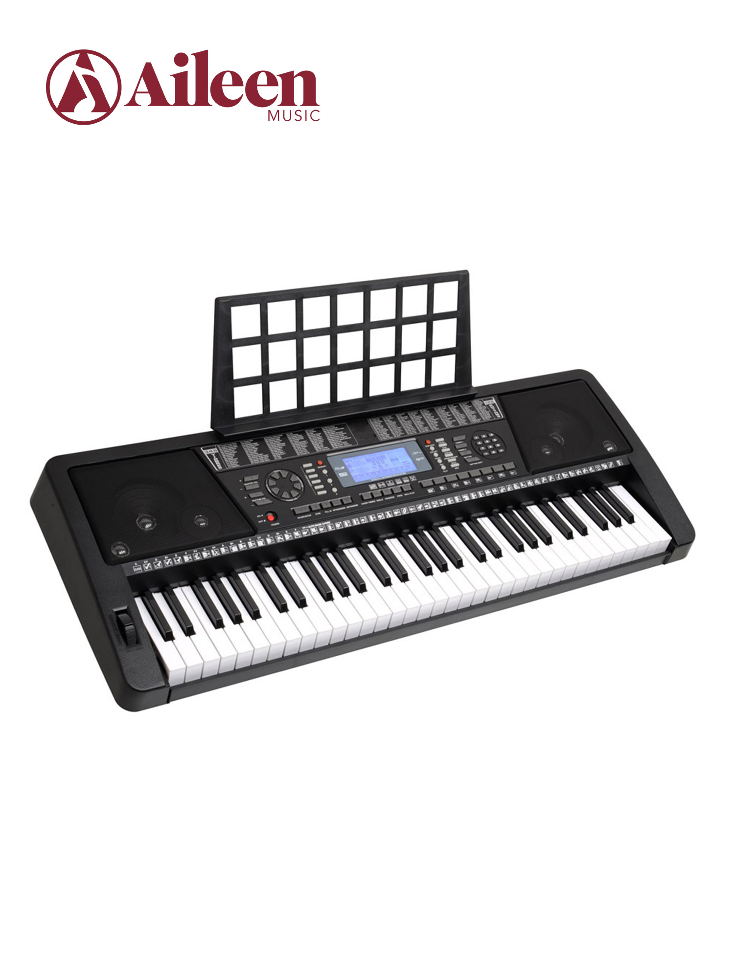 61 Keys Electronic Organ Keyboard/Musical Keyboard Instrument (EK61208)