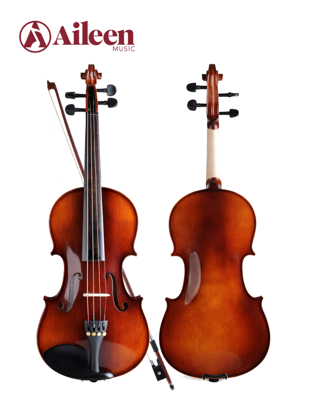 Selected Solidwood Advanced Student Violin Outfit (VG107)