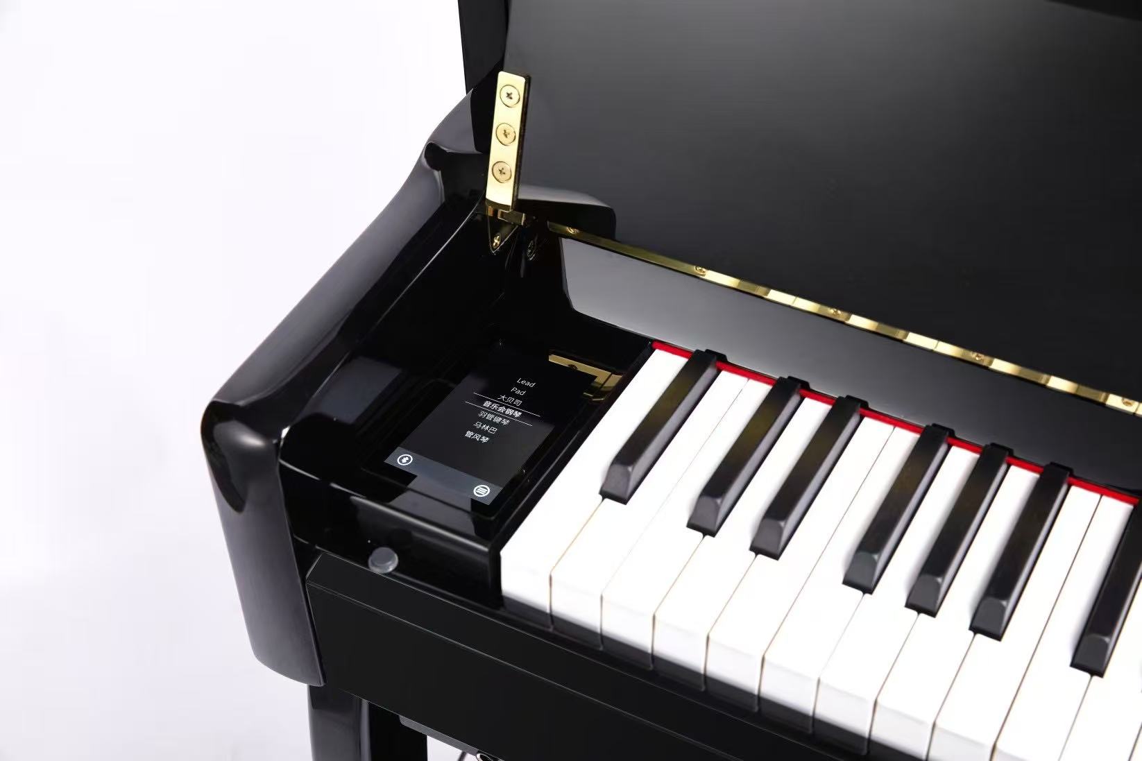 DP9006 (4)