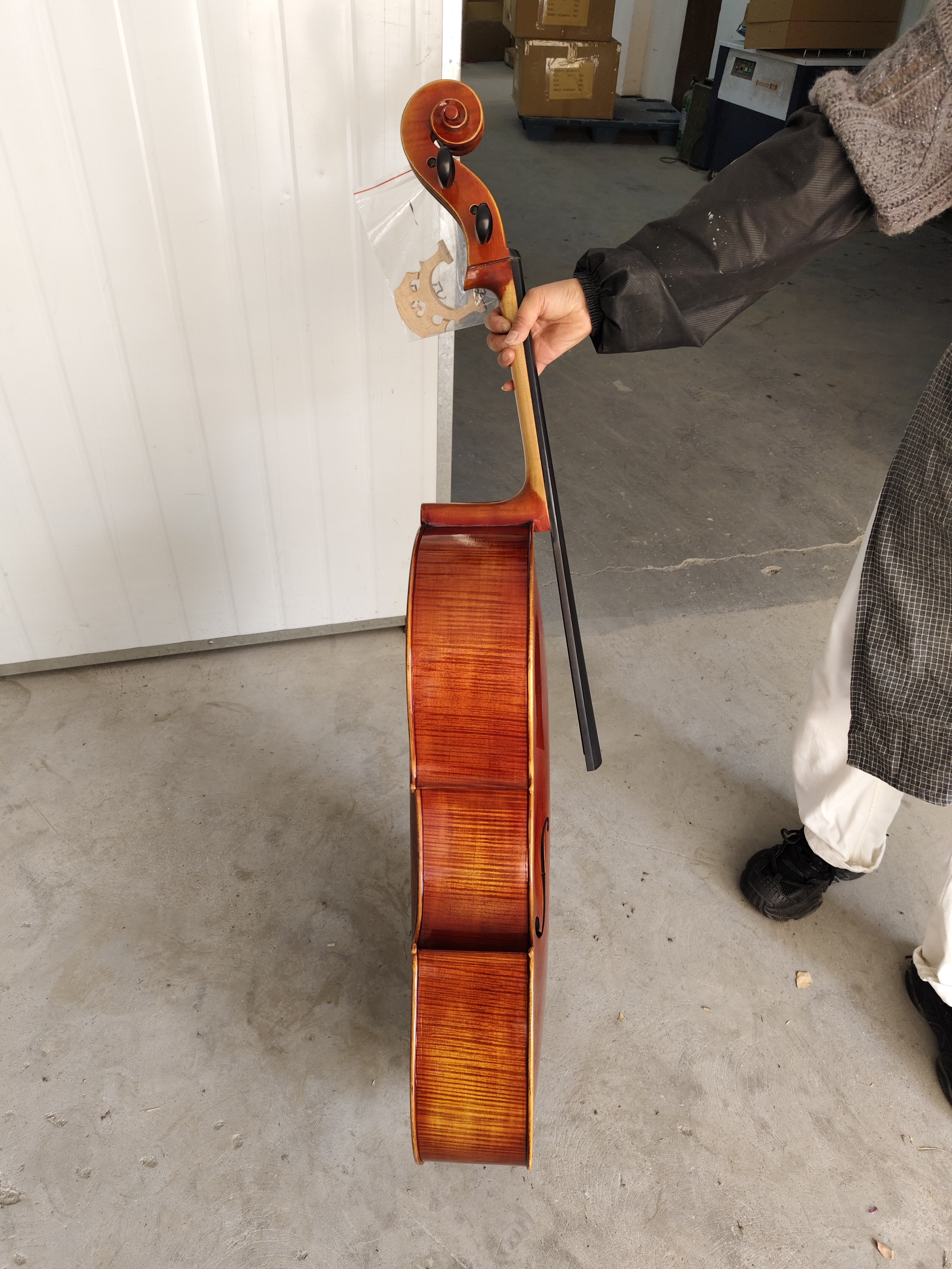 Best Beginner Cello Solid 1/2 Cello Instrument for Sale(CH200S)
