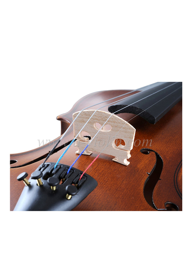 4/4 Full Size Beginners Student Violin (VG001-HPM)
