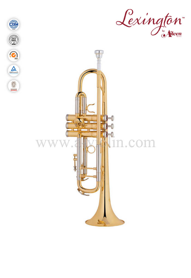 BH style Professional Trumpet With Premium Case (TP8390G)