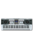 61 Keys best keyboard music instrument piano for beginners(EK61204)