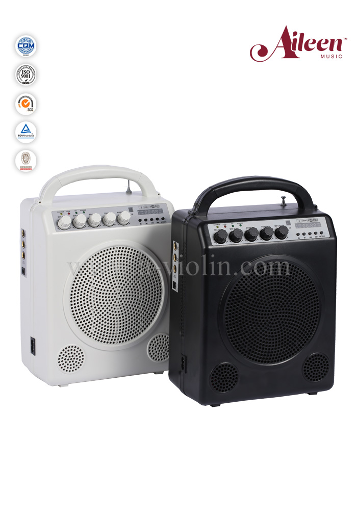Professional FM radio, Recording/Bluetooth, USB,SD Card connector mini amplifier (AL-730)