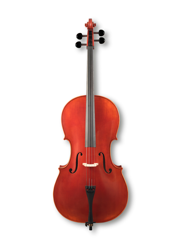 4/4-1/8 Spirit Varnish Advanced Cello(CH100Z)