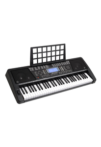 61 Keys Electronic Organ Keyboard/Musical Keyboard Instrument (EK61208)