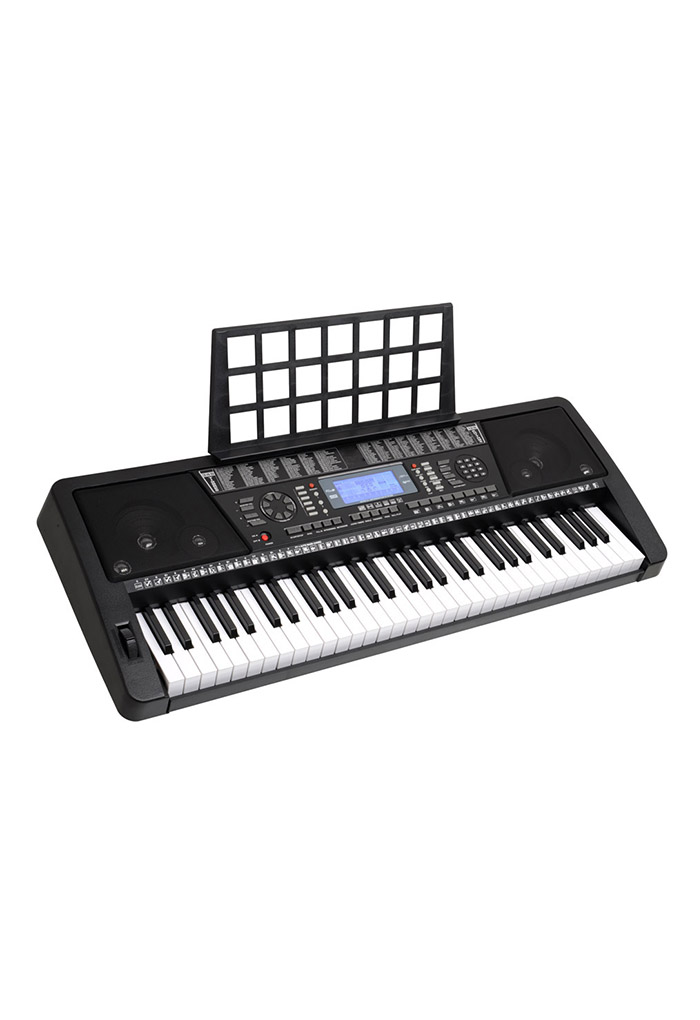 61 Keys Electronic Organ Keyboard/Musical Keyboard Instrument (EK61208)