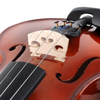 Dyed hardwood part student acoustic violin(VG106)