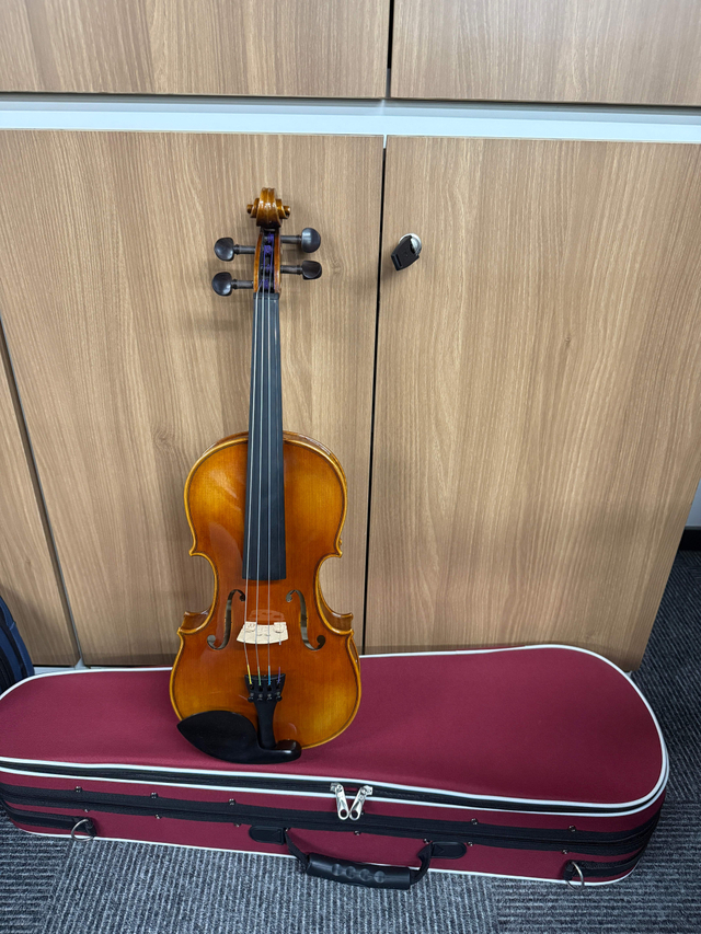 Professional Legacy Series Violin with Despiau Bridge LV01