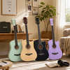 38'' Entry Level Acoustic Guitar AF38ALC 