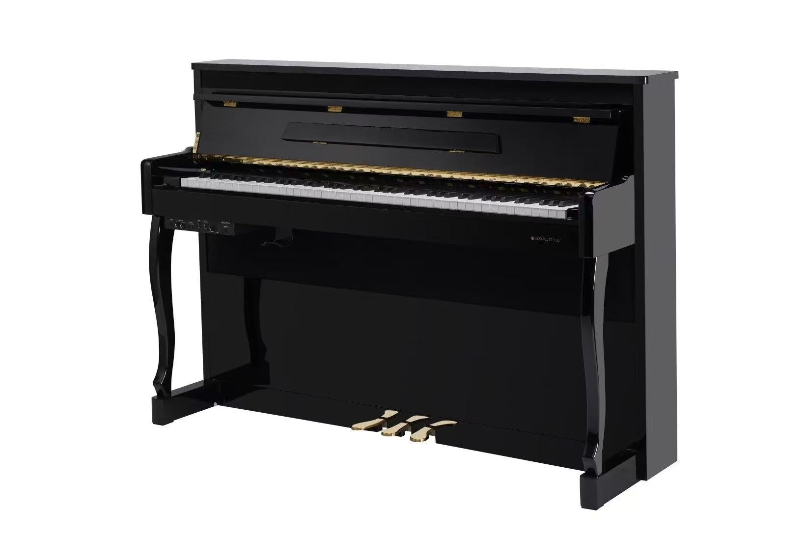 DP9006 (1)