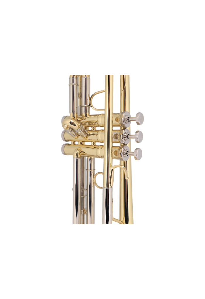 TP8034G Best Selling Middle Grade BB Key Yellow Brass Body Trumpet
