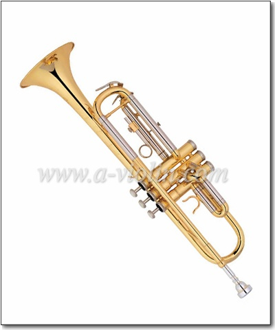 Gold Epoxy Lacquer/Silver Plated Finish China Trumpet Model (TP8590-S)
