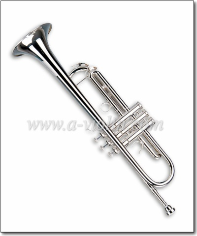 Popular Student Nickel plated Trumpet (TP8001N)
